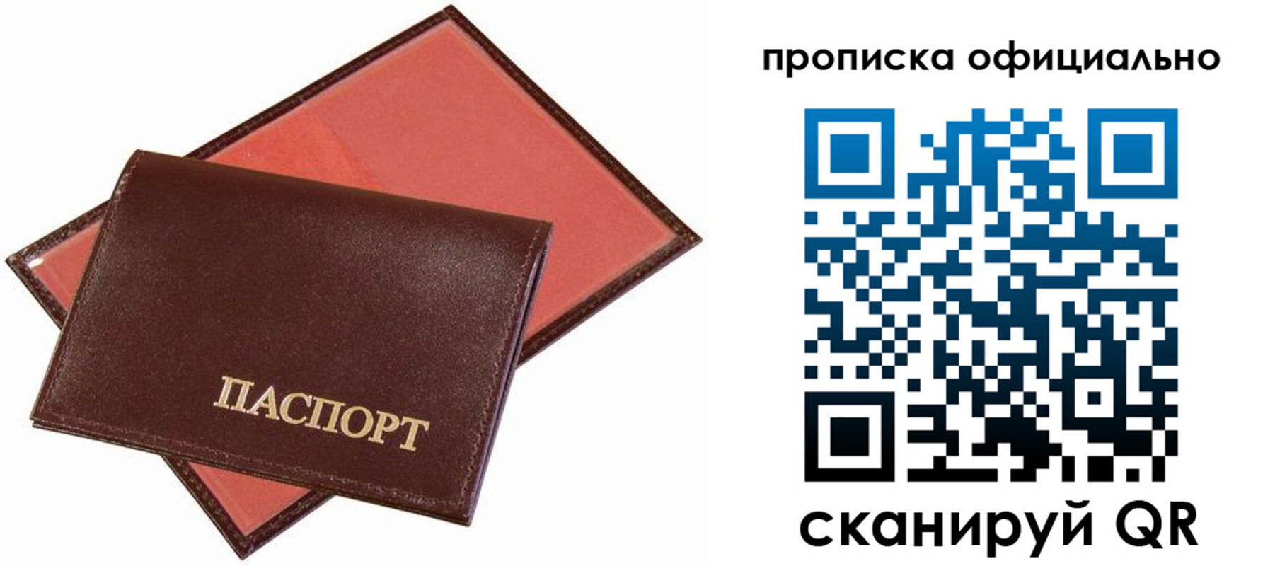 временная регистрация гарантия в Владимире